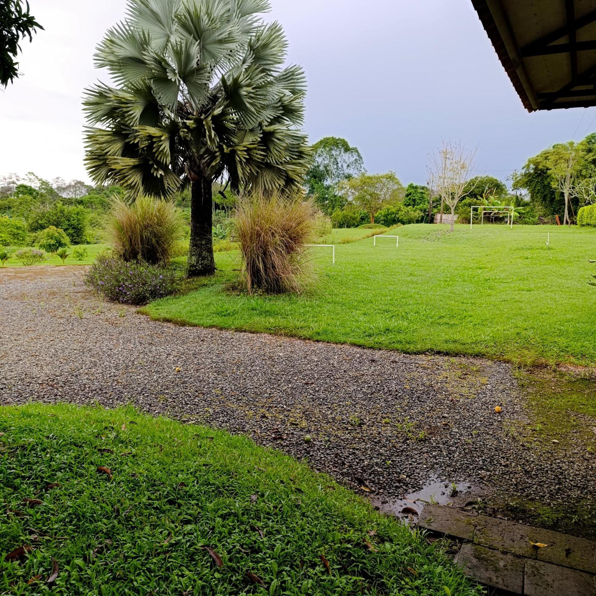 Hotel Campestre Los Mangos Quimbaya Exterior foto